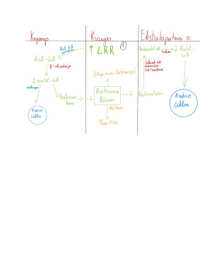 Acetoninių medžiagų susidarymas ir reikšmė cukrinio diabeto komplikacijoms. Paveikslėlis 5