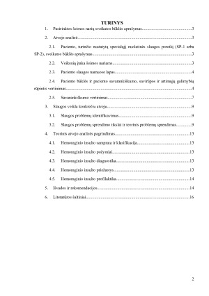 Situacija. Paveikslėlis 2