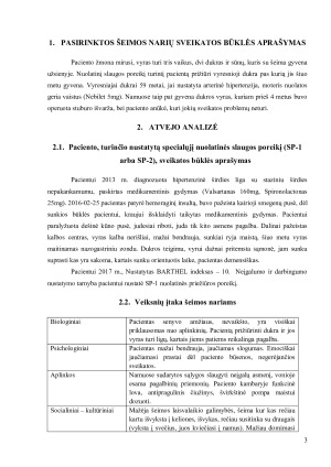 Situacija. Paveikslėlis 3