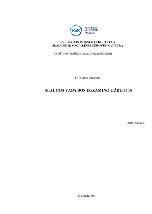 SLAUGOS VADYBOS EGZAMINO UŽDUOTIS. Paveikslėlis 1