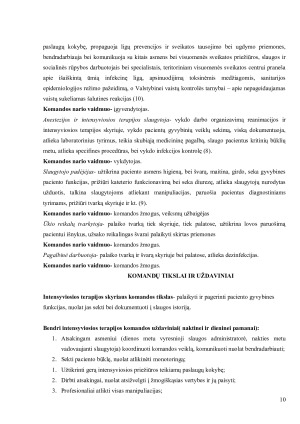 SLAUGOS VADYBOS EGZAMINO UŽDUOTIS. Paveikslėlis 10