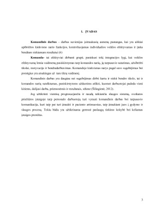 SLAUGOS VADYBOS EGZAMINO UŽDUOTIS. Paveikslėlis 3