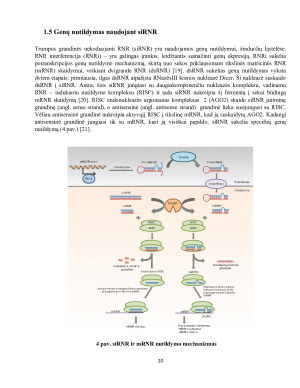 ŠAKOTOS GRANDINĖS AMINORŪGŠČIŲ METABOLIZMO ĮTAKA NAVIKINIŲ LĄSTELIŲ FUNKCIJOMS. Paveikslėlis 10