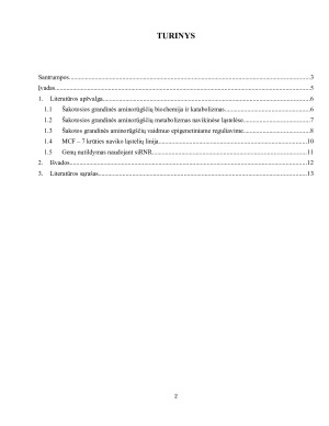 ŠAKOTOS GRANDINĖS AMINORŪGŠČIŲ METABOLIZMO ĮTAKA NAVIKINIŲ LĄSTELIŲ FUNKCIJOMS. Paveikslėlis 2