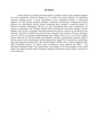 ŠAKOTOS GRANDINĖS AMINORŪGŠČIŲ METABOLIZMO ĮTAKA NAVIKINIŲ LĄSTELIŲ FUNKCIJOMS. Paveikslėlis 5