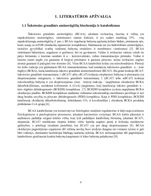 ŠAKOTOS GRANDINĖS AMINORŪGŠČIŲ METABOLIZMO ĮTAKA NAVIKINIŲ LĄSTELIŲ FUNKCIJOMS. Paveikslėlis 6