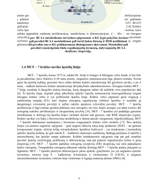 ŠAKOTOS GRANDINĖS AMINORŪGŠČIŲ METABOLIZMO ĮTAKA NAVIKINIŲ LĄSTELIŲ FUNKCIJOMS. Paveikslėlis 9