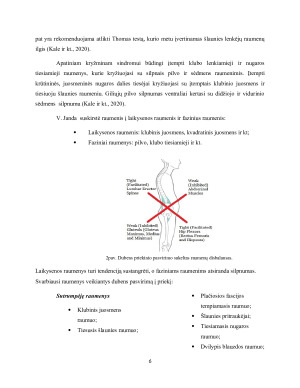 DUBENS ROTACINĖS YDOS. Paveikslėlis 6
