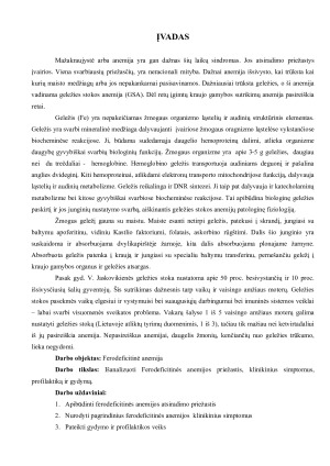ANEMIJOS SINDROMAS IR FERODEFICITINĖ ANEMIJA. BŪKLĖS VERTINIMAS. Paveikslėlis 3