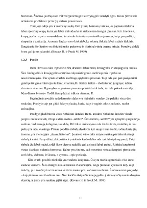 RIEBI VEIDO ODA. Paveikslėlis 10