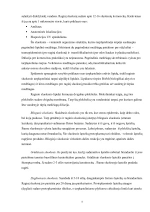 RIEBI VEIDO ODA. Paveikslėlis 7