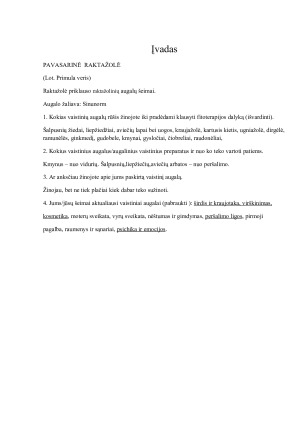 Vaistinių augalų įtaka sveikatai (Pavasarinė Raktažolė). Paveikslėlis 2