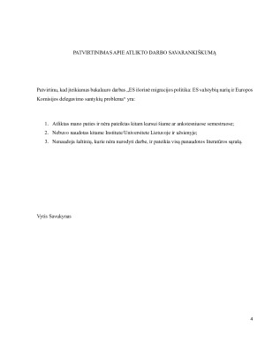 ES IŠORINĖ MIGRACIJOS POLITIKA - ES VALSTYBIŲ NARIŲ IR EUROPOS KOMISIJOS DELEGAVIMO SANTYKIŲ PROBLEMA. Paveikslėlis 4