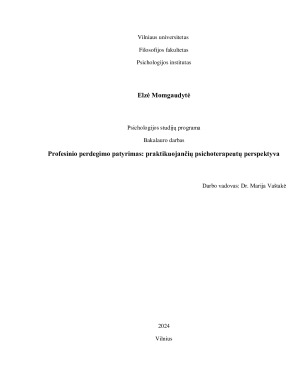 Profesinio perdegimo patyrimas - praktikuojančių psichoterapeutų perspektyva