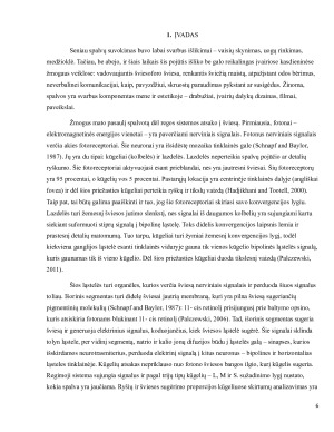 Fono įtaka povaizdžių suvokimui. Paveikslėlis 6