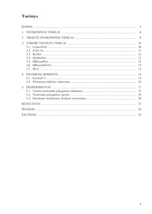 Ortografinių nuotraukų detalus lyginimas. Paveikslėlis 4