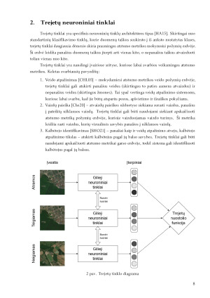 Ortografinių nuotraukų detalus lyginimas. Paveikslėlis 8
