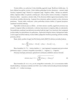 Ortografinių nuotraukų detalus lyginimas. Paveikslėlis 9