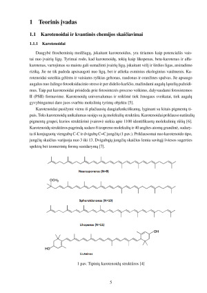 KVANTIN˙ES CHEMIJOS SKAIČIAVIMU˛ REZULTATU˛ DUOMENU˛ BAZ˙ES IR INFORMACINĖS SISTEMOS PANAUDOJIMAS KAROTENOIDŲ ANALIZEI. Paveikslėlis 5