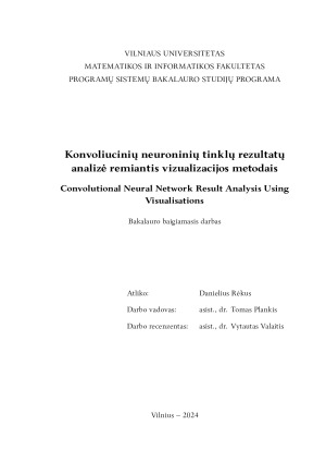 Konvoliucinių neuroninių tinklų rezultatų analizė remiantis vizualizacijos metodai