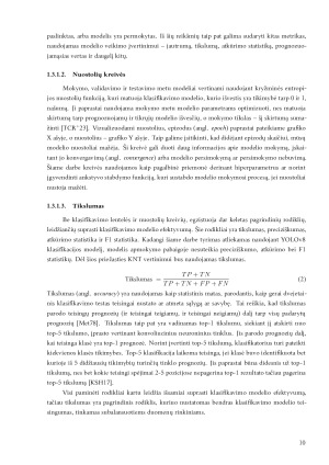 Konvoliucinių neuroninių tinklų rezultatų analizė remiantis vizualizacijos metodai. Paveikslėlis 10