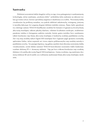 Konvoliucinių neuroninių tinklų rezultatų analizė remiantis vizualizacijos metodai. Paveikslėlis 2