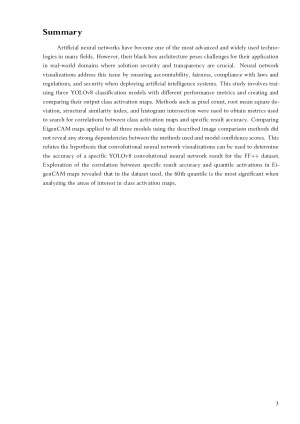 Konvoliucinių neuroninių tinklų rezultatų analizė remiantis vizualizacijos metodai. Paveikslėlis 3