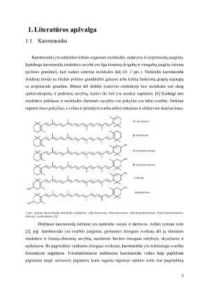 KVANTINĖS CHEMIJOS PAKETO QCHEM NAŠUMO ANALIZĖ KAROTENOIDŲ SUGERTIES SPEKTRŲ SKAIČIAVIMAMS. Paveikslėlis 5