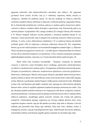 KVANTINĖS CHEMIJOS PAKETO QCHEM NAŠUMO ANALIZĖ KAROTENOIDŲ SUGERTIES SPEKTRŲ SKAIČIAVIMAMS. Paveikslėlis 6