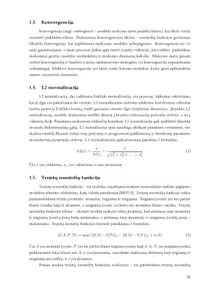 Žymių pasaulio objektų atpažinimas naudojant vaizdų panašumo vertinimą. Paveikslėlis 10