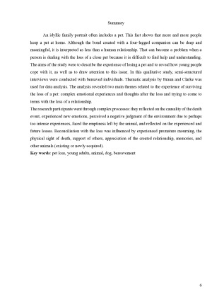 Jaunųjų suaugusiųjų naminio gyvūno netekties patyrimas. Paveikslėlis 6