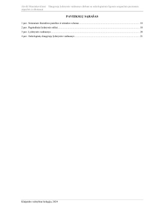 SLAUGYTOJŲ LYDERYSTĖS VAIDMENYS DIRBANT SU ONKOLOGINĖMIS LIGOMIS SERGANČIAIS PACIENTAIS STIPRYBĖS IR RIBOTUMAI. Paveikslėlis 5