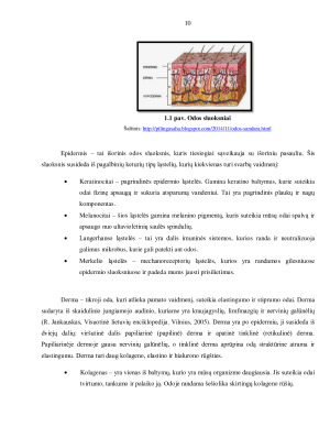 PAŽASTŲ SRITIES PLAUKUOTUMO ŠALINIMAS APARATINĖMIS PROCEDŪROMIS. Paveikslėlis 10