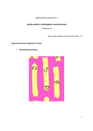 Vaizdų analizė: morfologinės transformacijos. Paveikslėlis 2