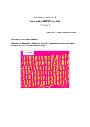 Vaizdų analizės MATLAB‘e pagrindai. Paveikslėlis 2
