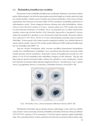 Žiedadulkių atpažinimas ir identifikavimas iš skaitmeninių holografijos vaizdų. Paveikslėlis 10