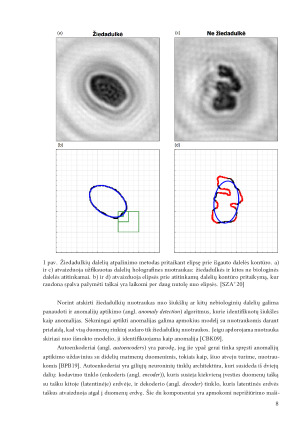 Žiedadulkių atpažinimas ir identifikavimas iš skaitmeninių holografijos vaizdų. Paveikslėlis 8