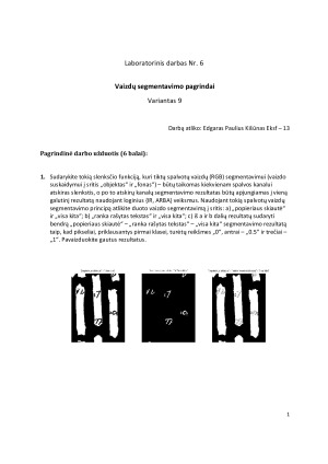 Vaizdų segmentavimo pagrindai. Paveikslėlis 2