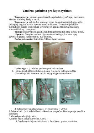 Vandens garinimo pro lapus tyrimas
