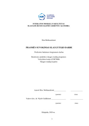 PRASMĖS SUVOKIMAS SLAUGYTOJO DARBE