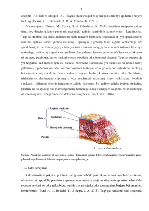 KONTROLIUOTO RADIJO DAŽNIO IR TRANSDERMIJOS POVEIKIS VEIDO SRITIES ODOS RAUKŠLĖMS. Paveikslėlis 8
