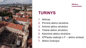Aktinas. Paveikslėlis 2