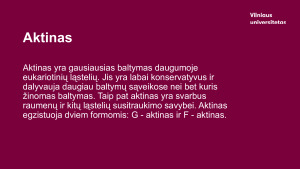 Aktinas. Paveikslėlis 3