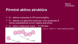 Aktinas. Paveikslėlis 4