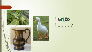 Nosinės šaknyje pirma taisyklė. Paveikslėlis 2