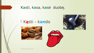 Nosinės šaknyje pirma taisyklė. Paveikslėlis 5