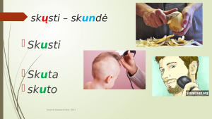 Nosinės šaknyje pirma taisyklė. Paveikslėlis 8