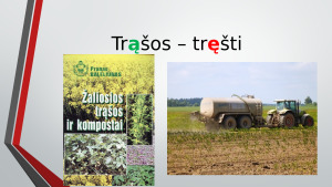 Nosinės šaknyje antra taisyklė. Paveikslėlis 3