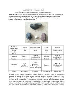 INŽINERINĖS GEOLOGIJOS LABORATORINIAI DARBAI. Paveikslėlis 5
