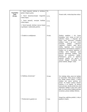 KREPŠINIO TRENIRUOTĖS PLANAS - KONSPEKTAS . Paveikslėlis 3